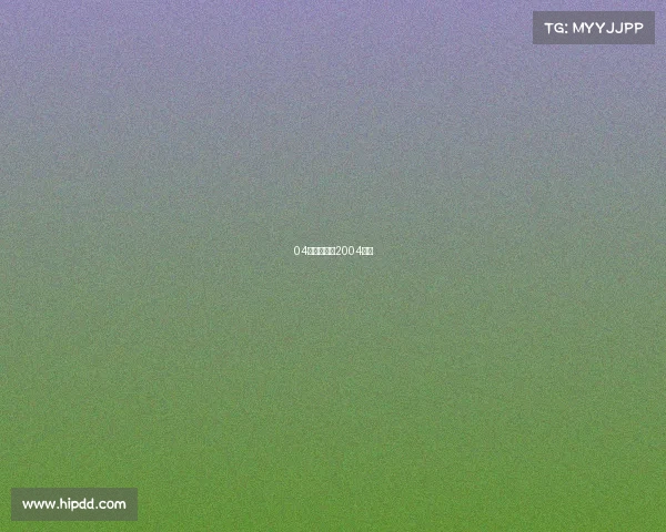 04年赛事回顾2004比赛