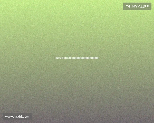 关于cba赛事介绍 CBA联赛全景解读：历史沿革、球队战力与球星档案