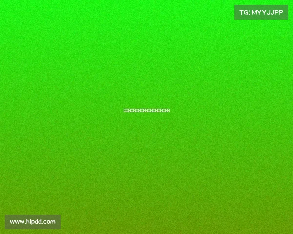 国际金标赛事标准引领全球体育卓越新典范