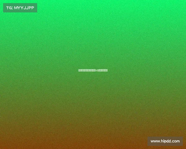 珀斯野猫赛事—珀斯野猫vs布里斯班子弹