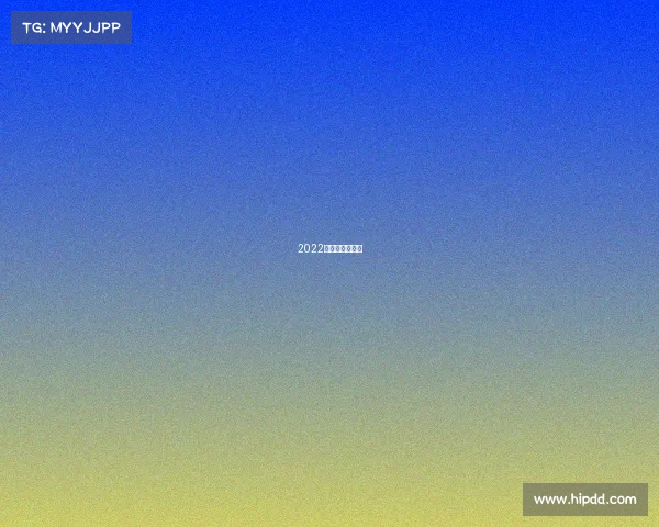 2022年上海体育赛事